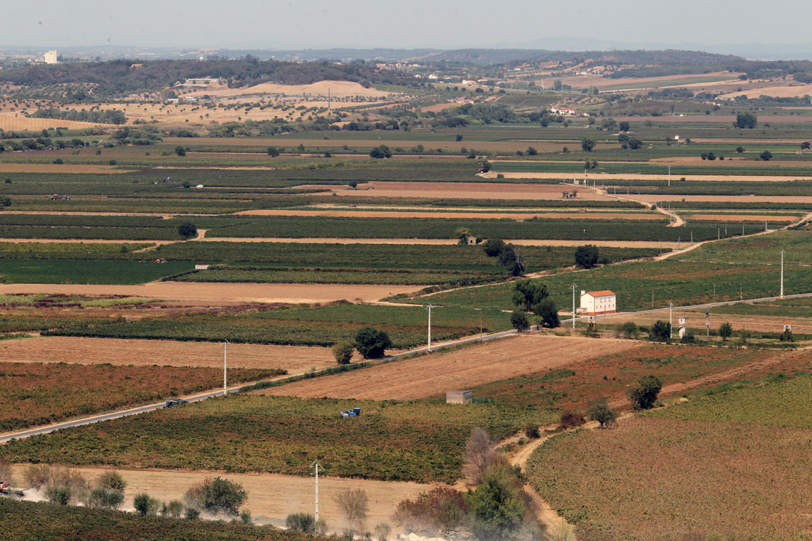 leziria nuts medio tejo