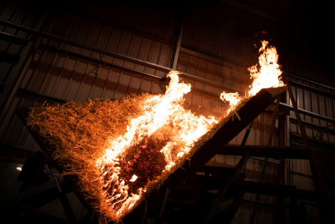 fogos florestais incêndios